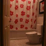 A bathroom with a toilet and shower curtain.